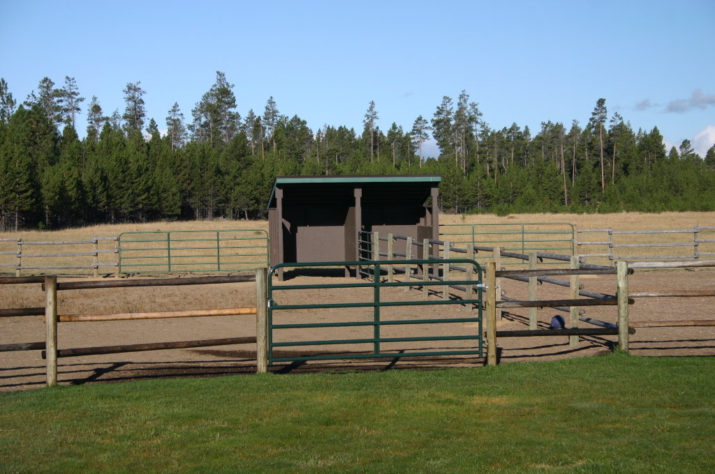 Horse Shelter 2015